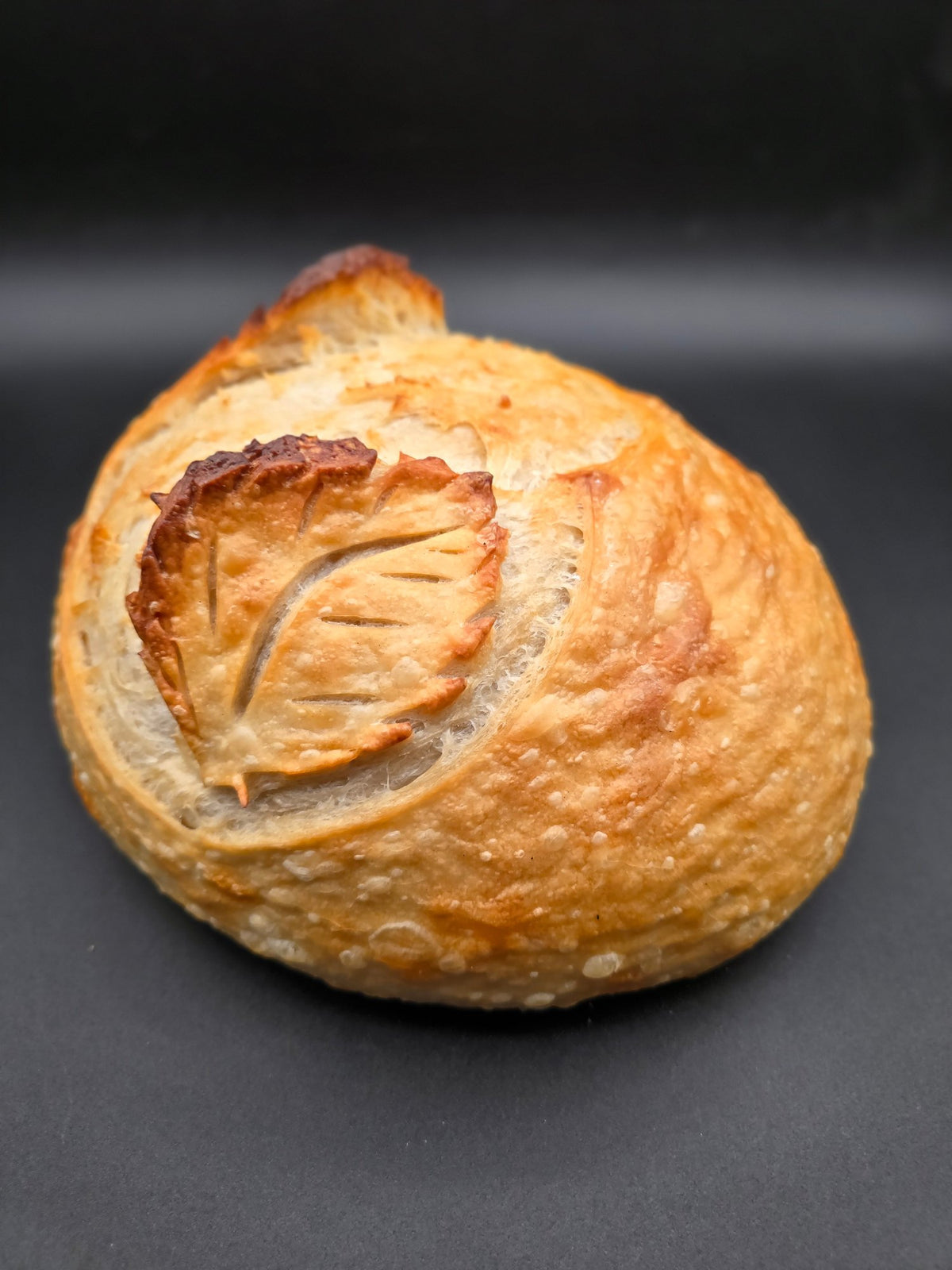 Leaf-scored artisan sourdough loaf baked with Bucky starter