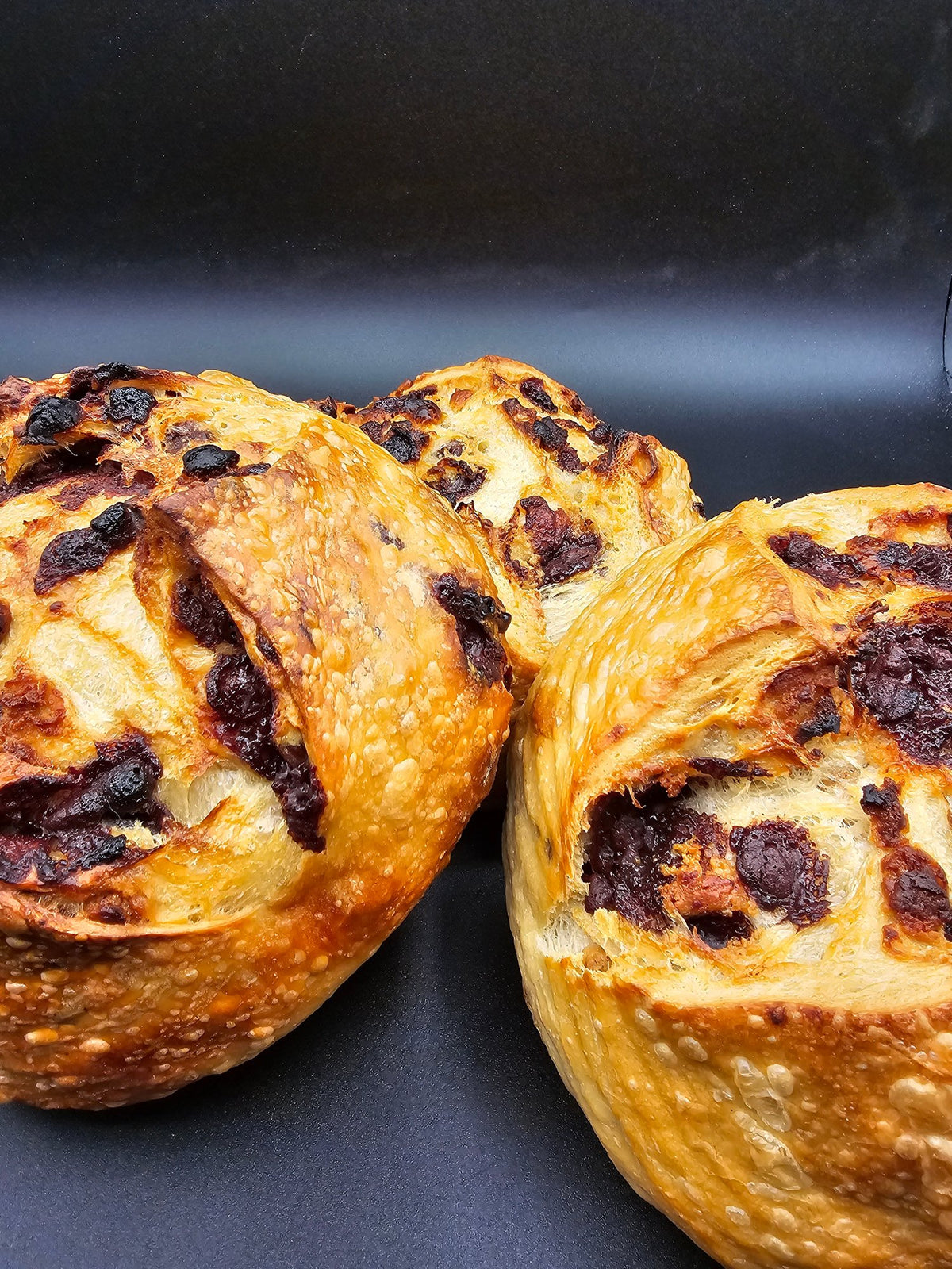 Fruit boule baked with Barlee whole wheat sourdough starter