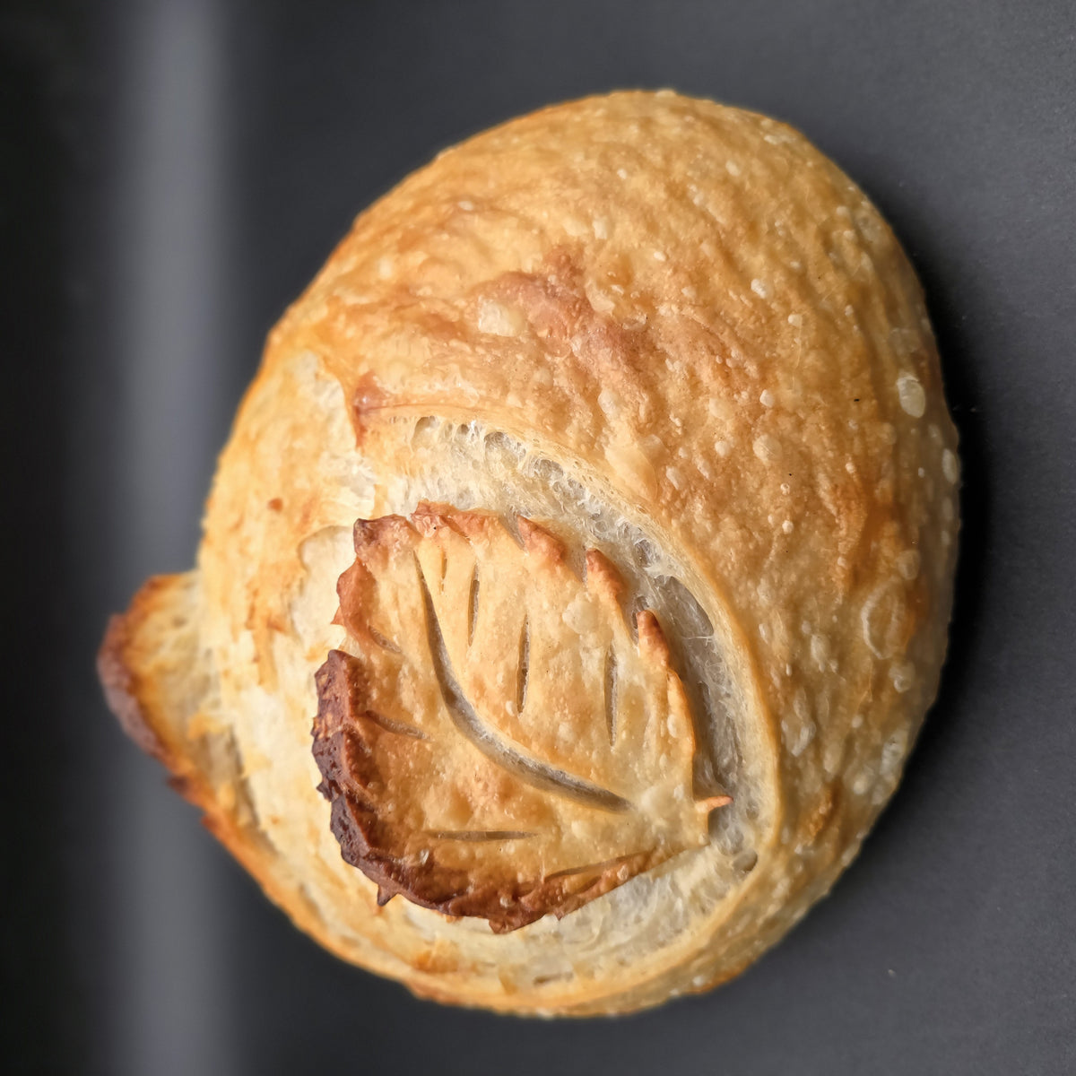 Leaf-scored sourdough loaf baked with Bucky Live starter