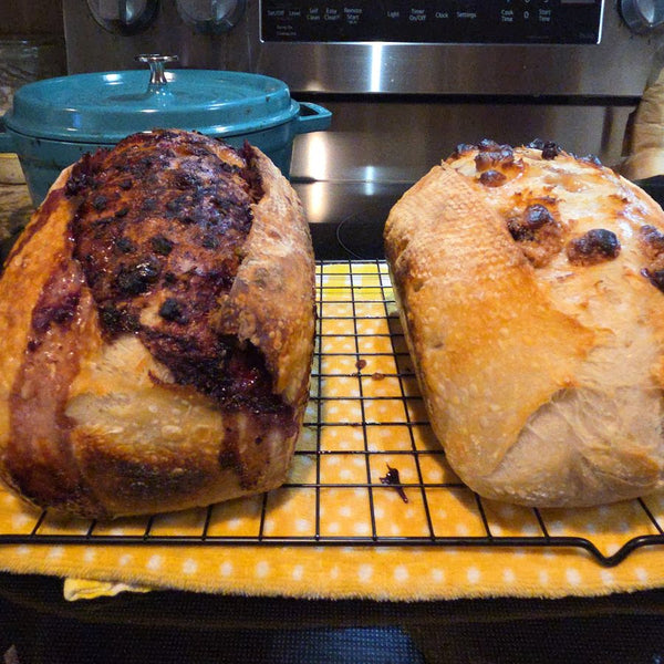 Sourdough bread baked by a customer with Bucky Live