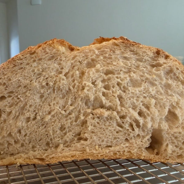 Sourdough bread baked by a customer with Bucky Live