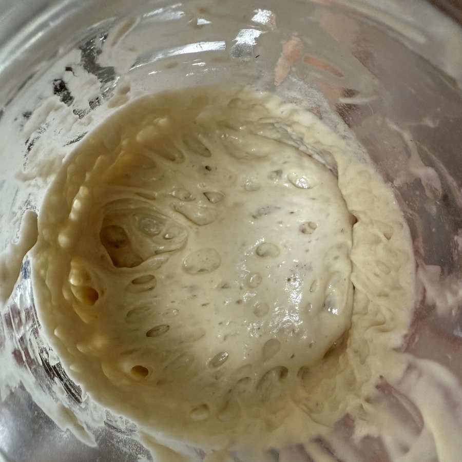Sourdough bread baked by a customer with Bucky